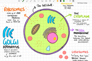 GoodNotes 5——随时随地使用自己的文稿，学霸必备！