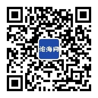 沧海网