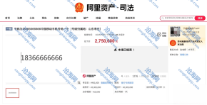 尾号“8 个 6”手机号码拍卖结束:4.7 万人次围观,成交价 275 万元